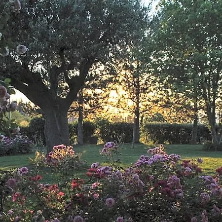 Il Giardino Delle Rose 3*