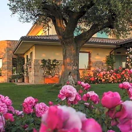 לינה וארוחת בוקר Il Giardino Delle Rose 3*
