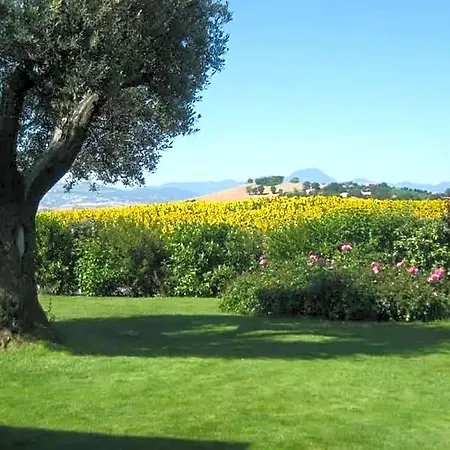 Il Giardino Delle Rose Santa Maria Nuova (Ancona)