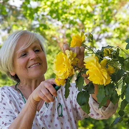 לינה וארוחת בוקר Il Giardino Delle Rose Santa Maria Nuova (Ancona)