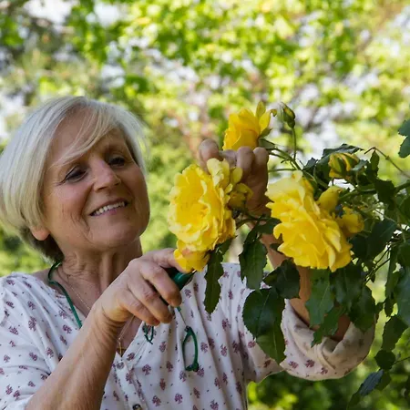 Il Giardino Delle Rose Frühstückspension Santa Maria Nuova (Ancona)
