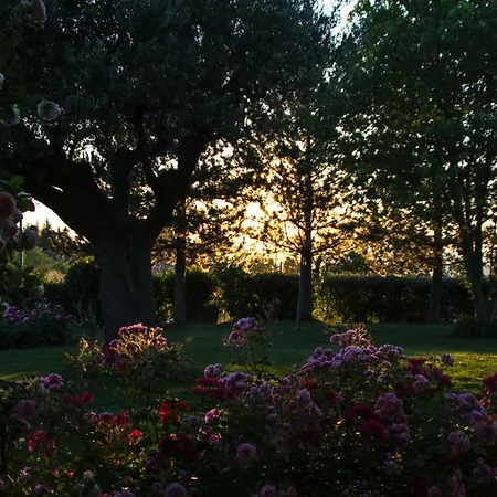 Il Giardino Delle Rose Frühstückspension