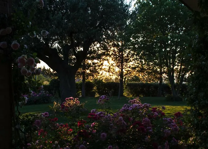 Il Giardino Delle Rose Bed & Breakfast